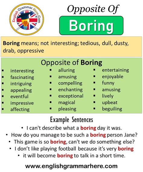 bore synonym|antonym of bore.